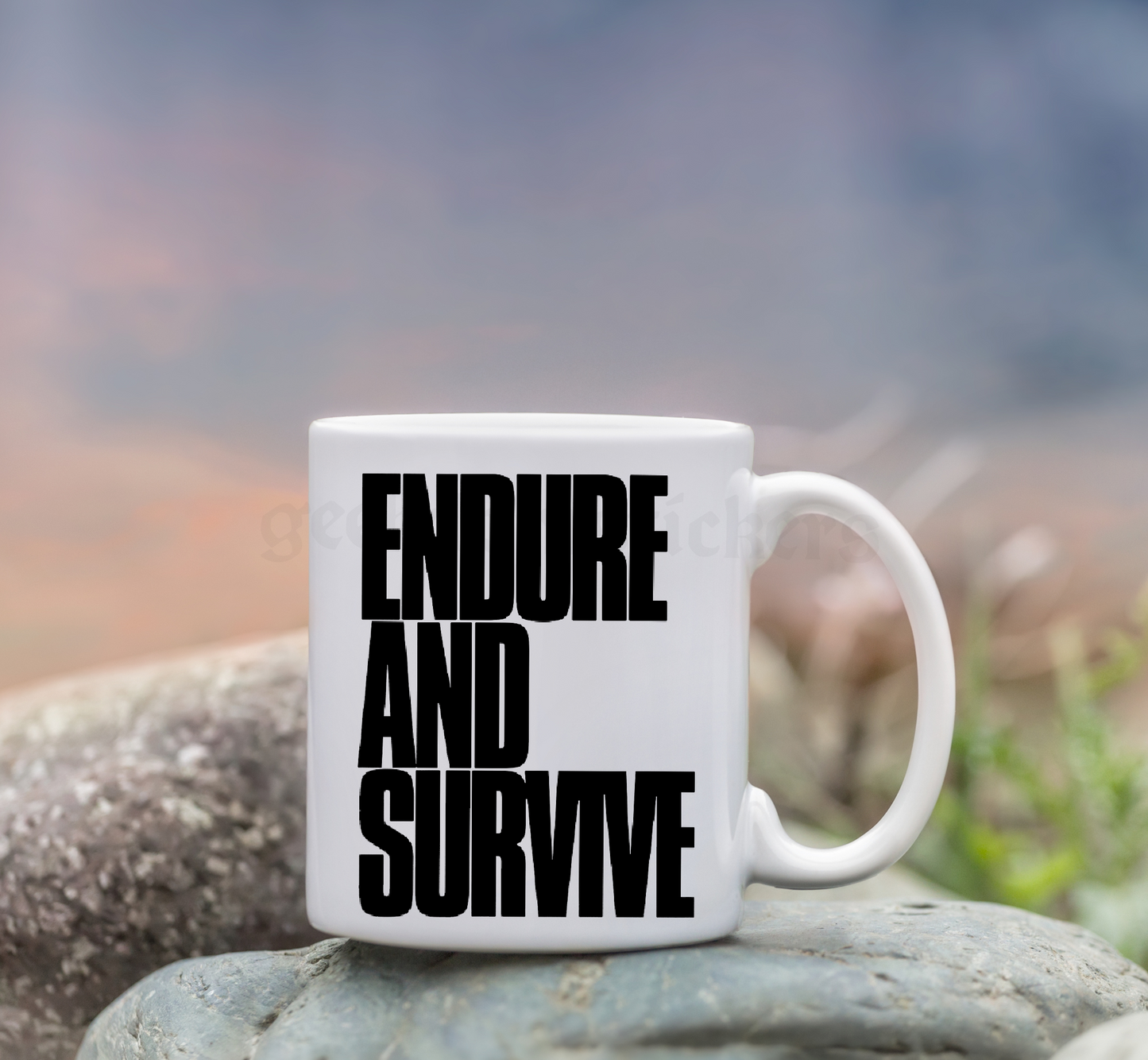 endure and survive decal